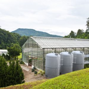 adobestock_45007596_gewächshaus-mit-vertikalen-tanks